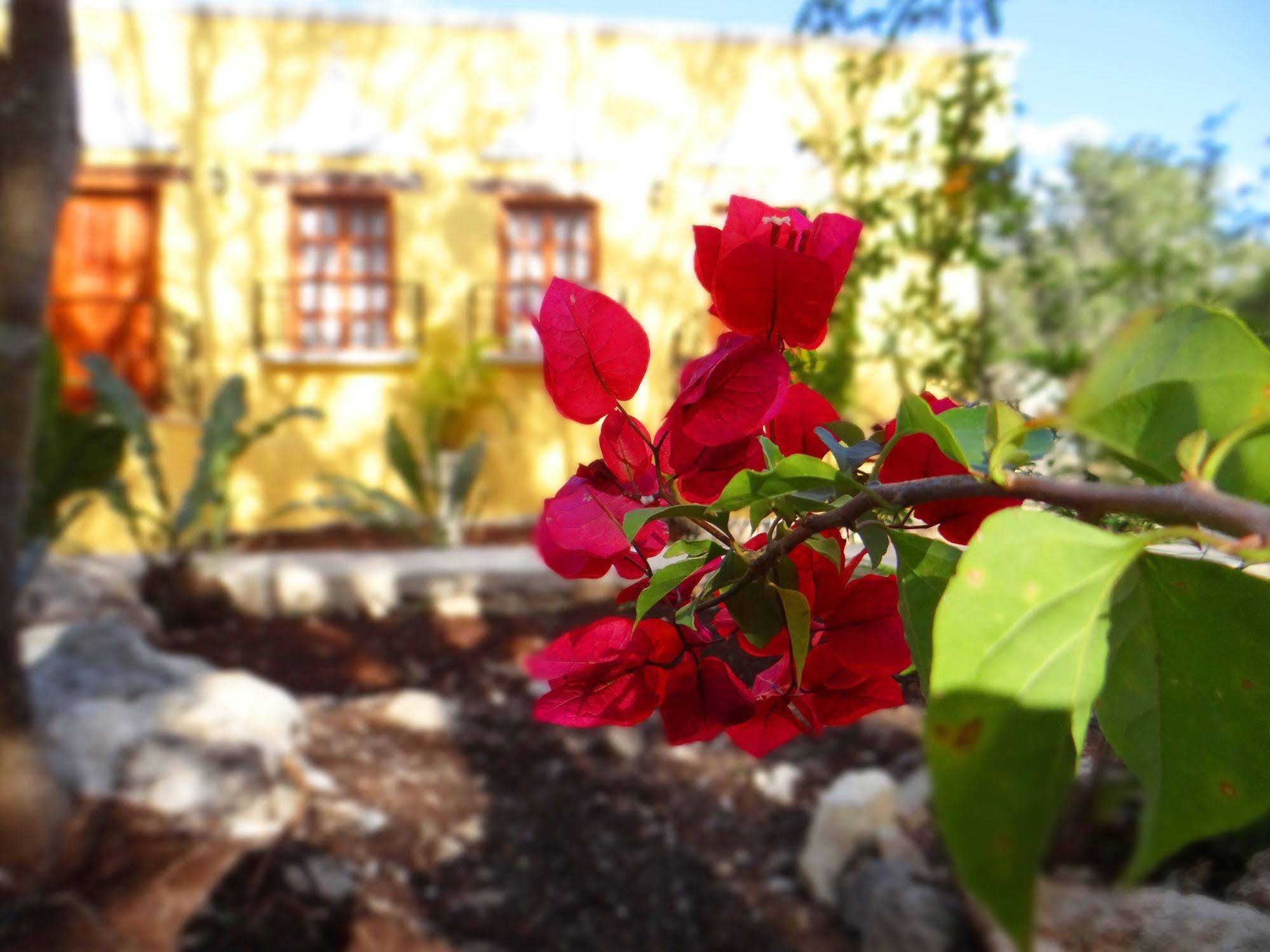 Hacienda Cobá Bed and Breakfast Esterno foto